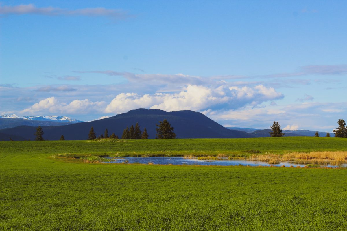 Beautiful landscape
